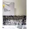 Best Christian Dior Book Tote bag Gray