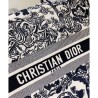 Best Christian Dior Book Tote bag Gray