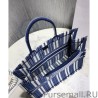 1:1 Mirror Christian Dior Book Tote bag M1286 Blue