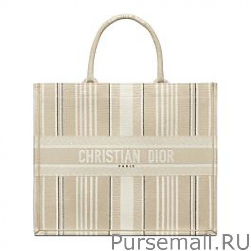 1:1 Mirror Christian Dior Book Tote Apricot