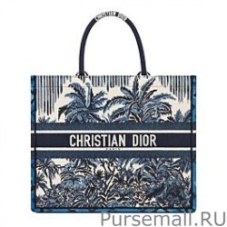 AAA+ Christian Dior Book Tote Blue