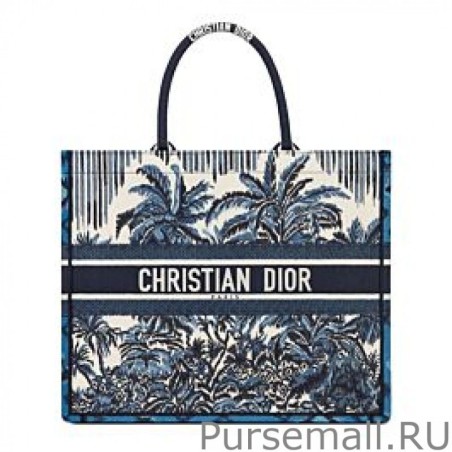 Best Christian Dior Book Tote Blue
