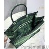 7 Star Christian Dior Book Tote Dior Animals Embroidered Canvas Bag Green