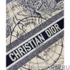 Cheap Christian Dior Book Tote Multicolor Dior Around the World Embroidery Blue