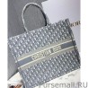 Luxury Christian Dior Book Tote With Dior Oblique Embroidery Gray