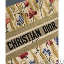 Luxury Christian Dior Small Book Tote Apricot