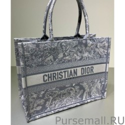 Best Christian Dior Small Dior Book Tote