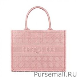 UK Christian Dior Small Dior Book Tote Bag Pink