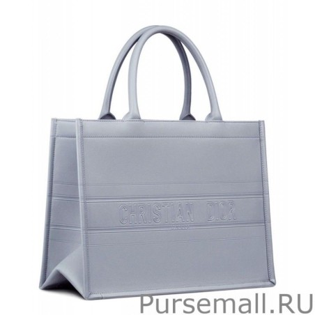 Perfect Christian Dior Small Dior Book Tote Light Blue