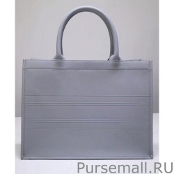 Perfect Christian Dior Small Dior Book Tote Light Blue