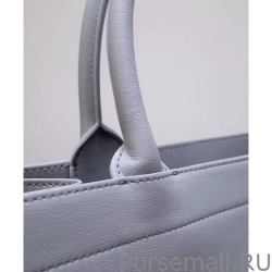 Perfect Christian Dior Small Dior Book Tote Light Blue