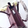 High Quality Celine Micro Luggage Bag In Burgundy Calfskin