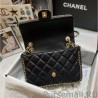 Replicas Classic Chain Around Flap Bag AS1672 Black