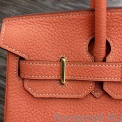 7 Star Hermes Birkin 30cm 35cm Bag In Crevette Clemence Leather