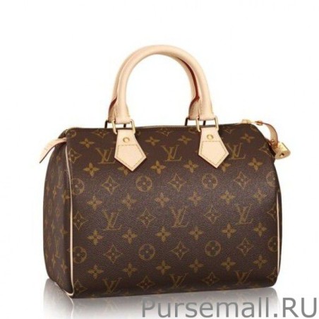 Replica Speedy 25 Monogram Canvas M41528