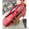 Top Christian Dior Saddle Bag Red