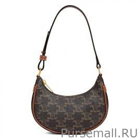 Best Celine Mini Ava In Triomphe Canvas And Calfskin Brown