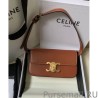 Perfect Celine Triomphe Shoulder Bag 194143 Coffee