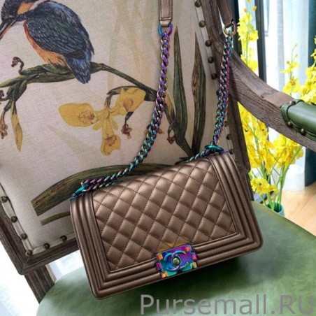 Fashion Boy Classic Flap Bag A67086 With Rainbow Hardware Brown