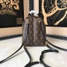 Designer Palm Springs Backpack Mini M41562