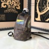 Designer Palm Springs Backpack Mini M41562