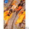 Wholesale classic double G letter Logo Scarf with floral elements Orange