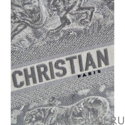 Cheap Christian Dior Small Dior Book Tote Gray