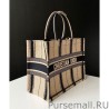 Best Christian Dior Book Tote Bayadere Small Embroidered Tote Apricot