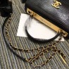 Luxury Classic Flap Bag Lizard Pattern A92236 Black