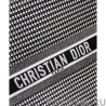 Perfect Christian Dior Book Tote bag Black