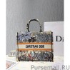 High Christian Dior Book Tote Bag In Embroidered Canvas Green