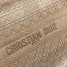 High Christian Dior Book Tote bag M1286 Apricot