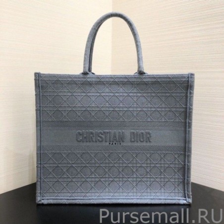 Top Christian Dior Book Tote bag M1286 Blue