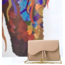Fashion Christian Dior Saddle Woc Chain Bag M5620 Apricot