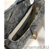 Perfect Christian Dior Saddle Bag Gray