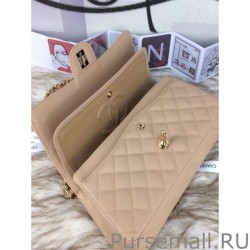 Top Quality Classic Grained Calfskin Falp Bag A1112 Apricot