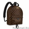 Designer Palm Springs MM Backpack Monogram Canvas M44874