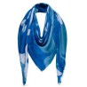 Top Quality X-Ray Monogram Shawl M70427