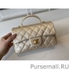 High Quality Grained Calfskin Mini Flap Bag with Top Handle AS2431 Gold