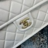 Perfect Large Crossbody Bag Grained Calfskin AS2358 White