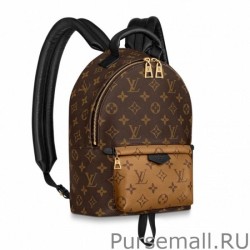 Luxury Palm Springs PM Backpack Monogram Canvas M44870