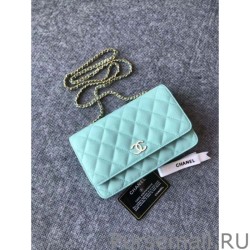 Luxury Classic Grained Woc Bag A33814 Light Blue