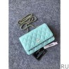 Luxury Classic Grained Woc Bag A33814 Light Blue