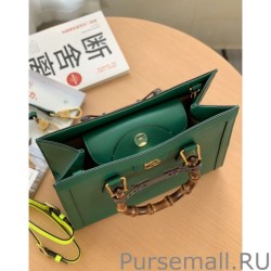 AAA+ Diana small Tote Bag 660195 Green