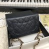 AAA+ Stitch Chain Grained Calfskin Woc Bag A33814 Black