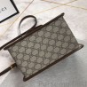 Replica Horsebit 1955 mini top handle bag 645453