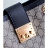 Luxury Padlock Supreme shoulder bag 498156 Black