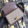 Top Quality Sylvie Small Web Shoulder Bag 421882 Brown