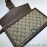 Inspired Dionysus GG Supreme clutch 621197 Brown