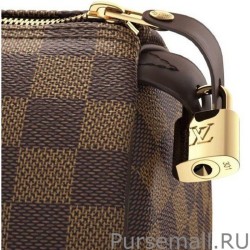 Luxury Speedy 25 Damier Ebene Canvas N41532